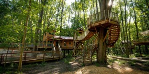 Treehouse Village - Canopy Loft
