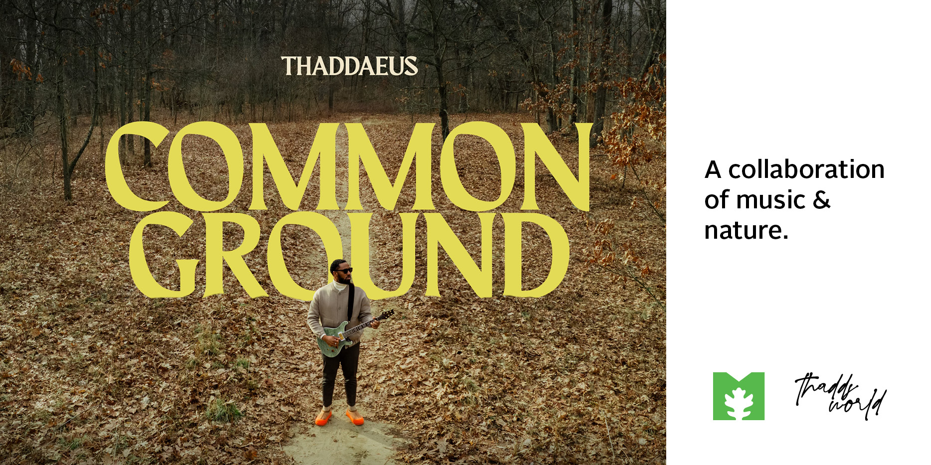 An album of eight original recordings by Toledo musician Thaddaeus Washington is a collaboration between music and nature, incorporating sounds from local Metroparks.