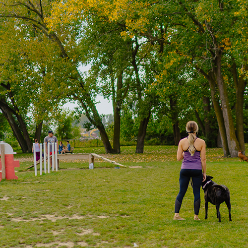 Middlegrounds 2 500x500.jpg