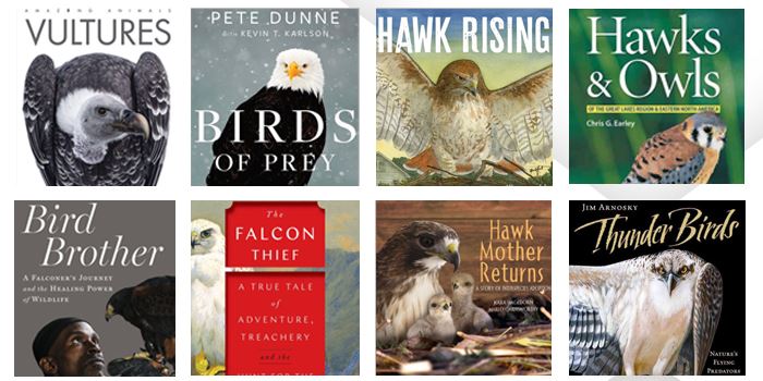 library-blog-post-may-700x350jpg