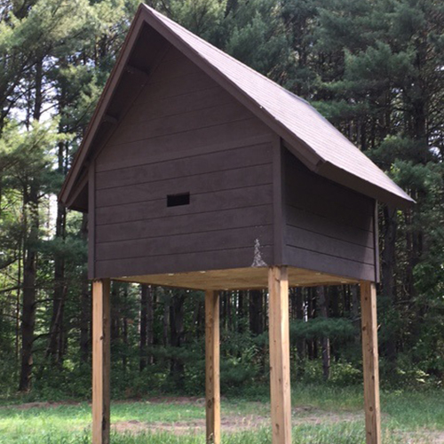 Bat Condo 500x500.jpg