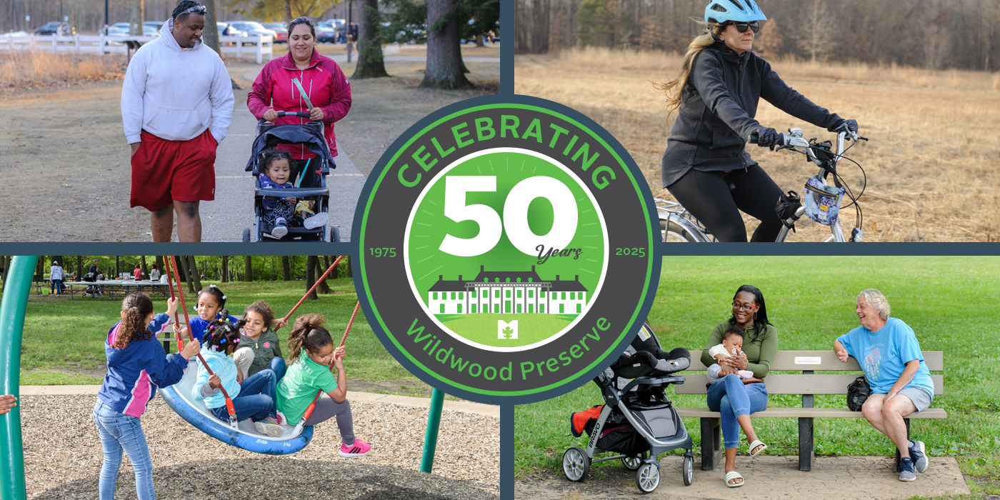 Wildwood 50 years 1400x700.jpg