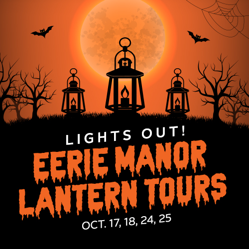Lights Out Lantern Tours 500x500.jpg