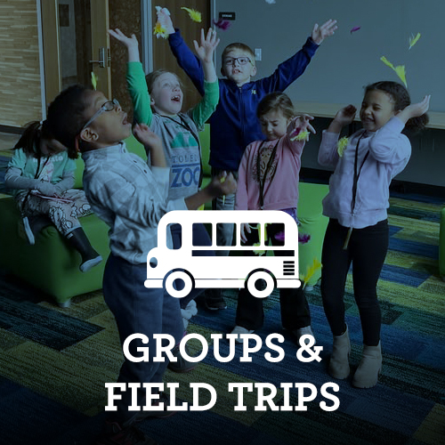 Groups Field Trips 500x500.jpg