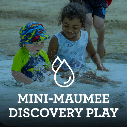 Mini Maumee 500x500.jpg