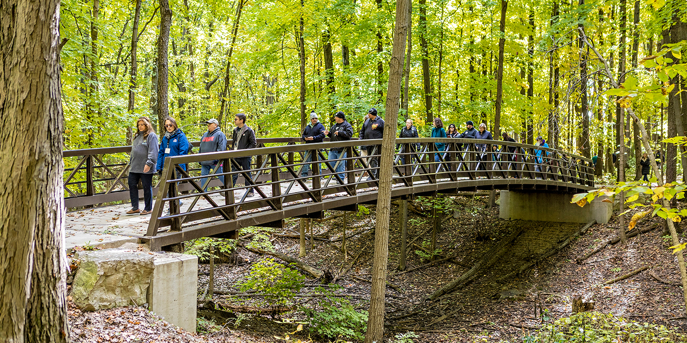 Fallen Timbers 1400x700 Opt 3.jpg