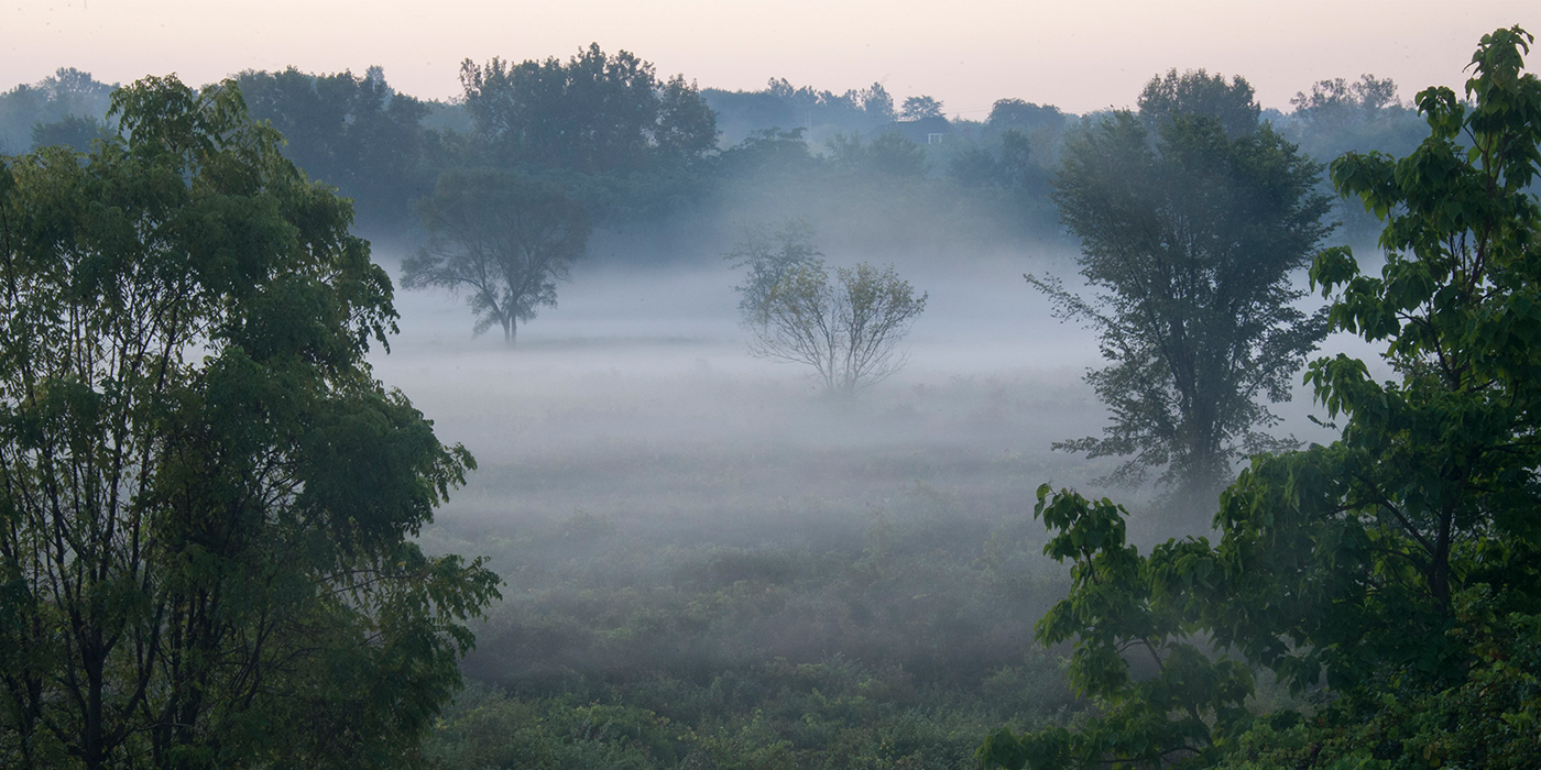 Fallen Timbers 1400x700 Opt 1.jpg