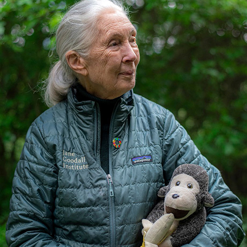 Jane (002) 500x500.jpg