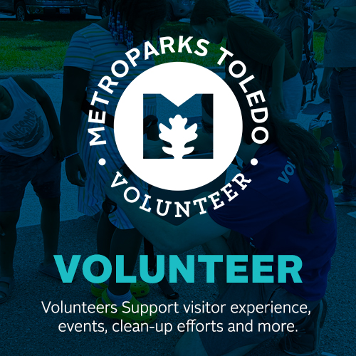 Volunteers 500x500.jpg