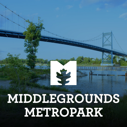 Middlegrounds 500x500.jpg