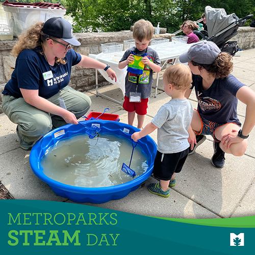Steam Day 500x500.jpg