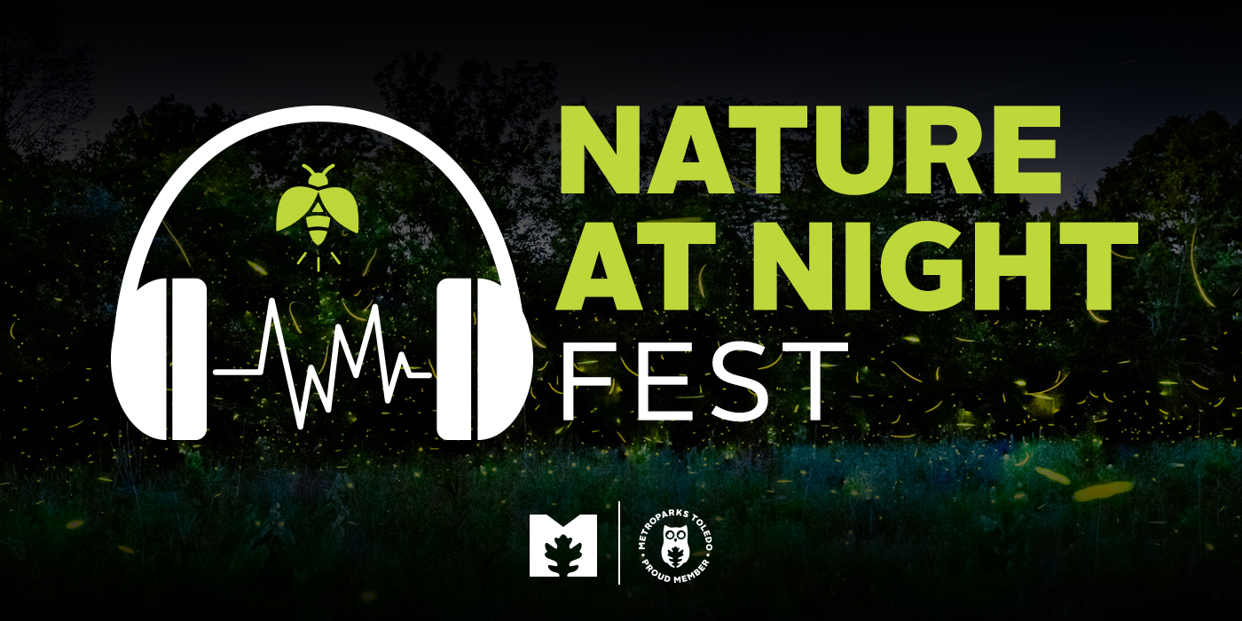nature-at-night-1400x700jpg-1