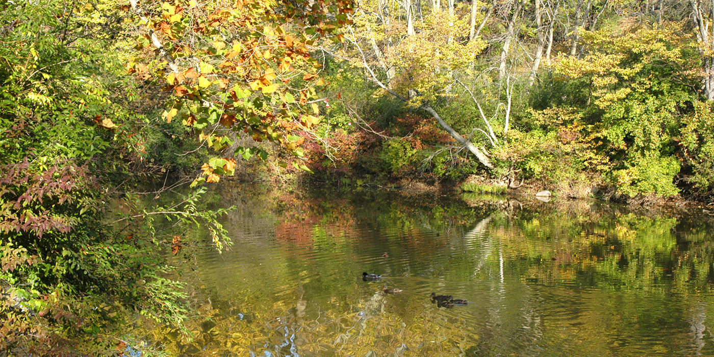 Secor Woodland Pond Trail