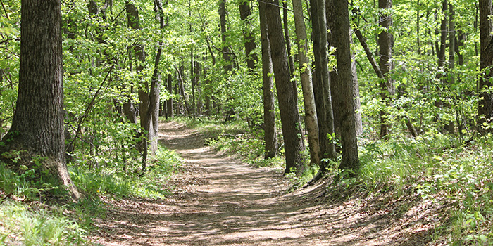 Wildwood Ridge Trail