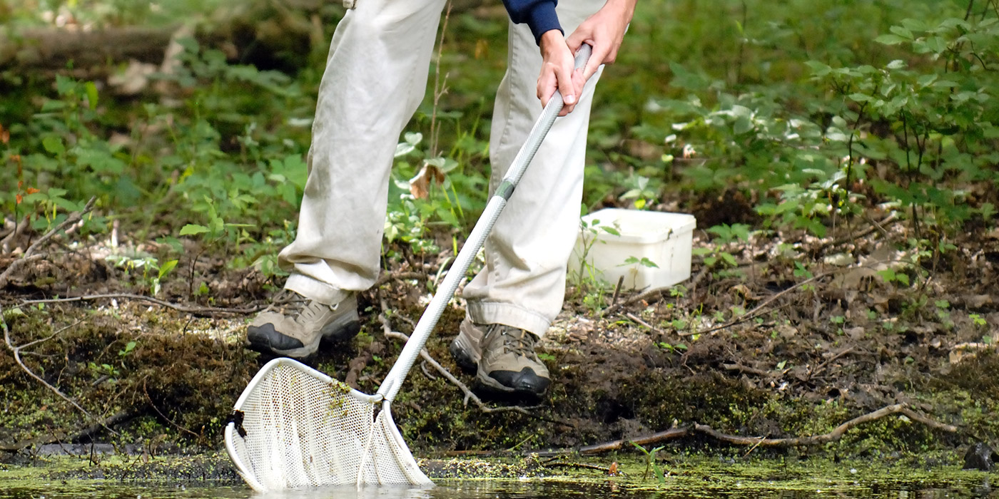 VernalPool.jpg