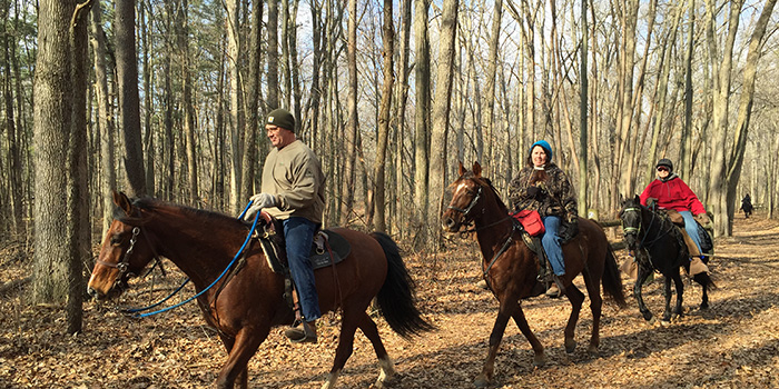 Oak Openings Horse Trail