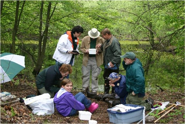 vernal-pool-volunteersjpg