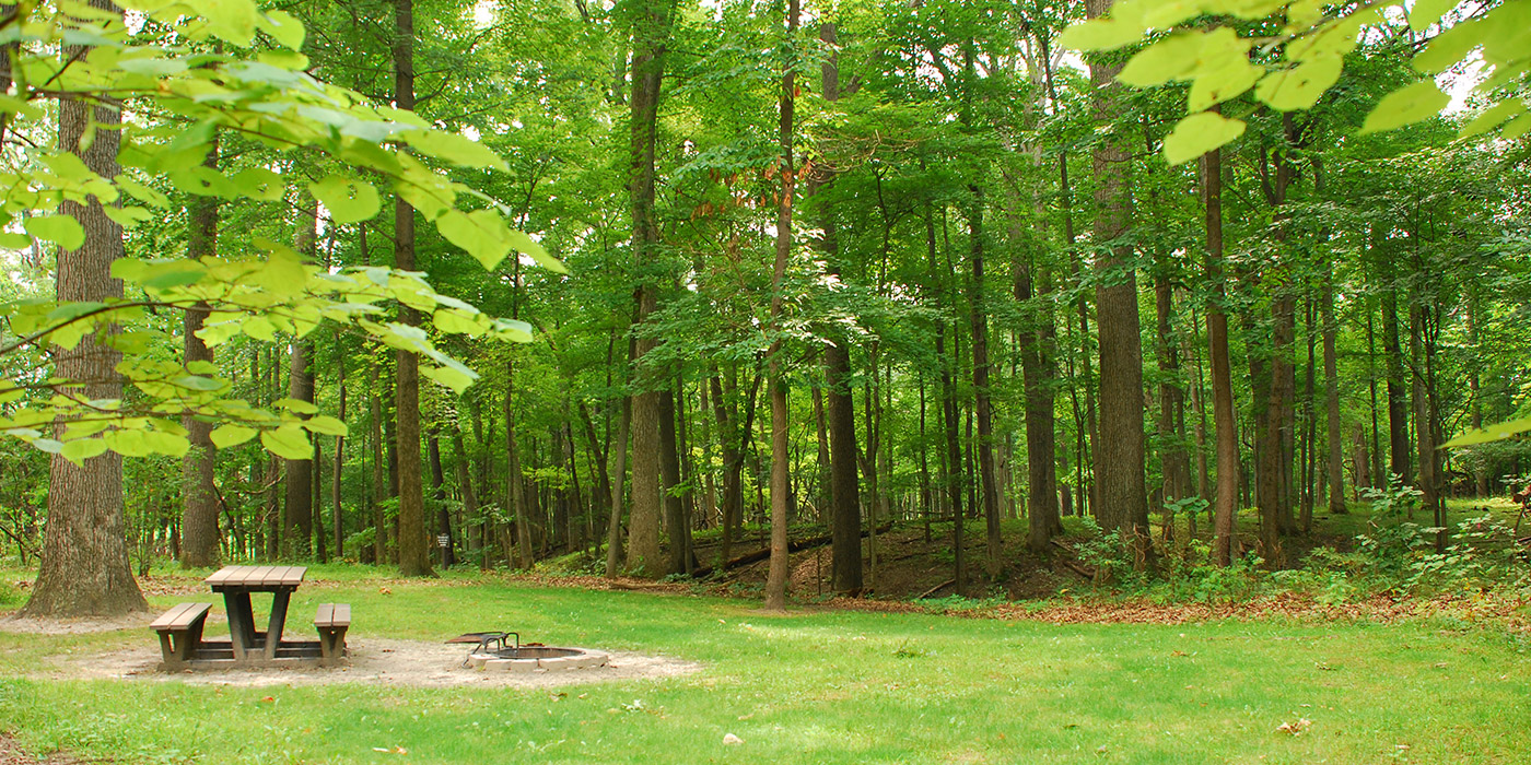 Springbrook Campground Metroparks Toledo