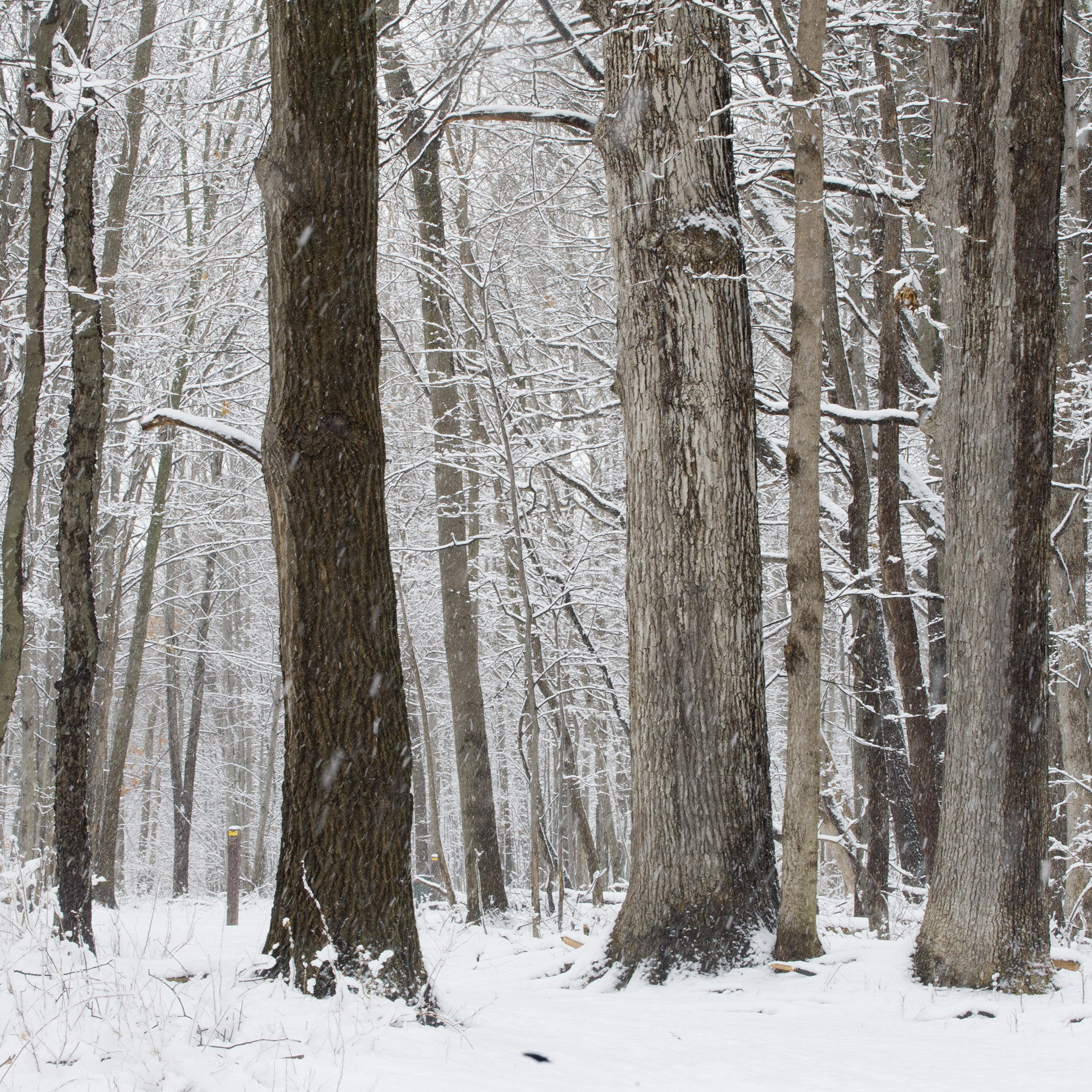 Outdoor Adventures | Metroparks Toledo