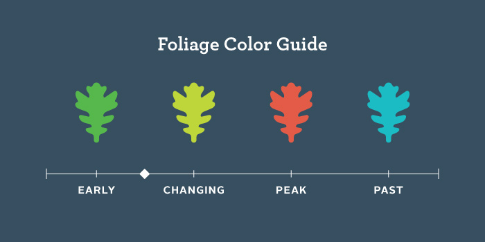 Fall_Color_Guide.jpg
