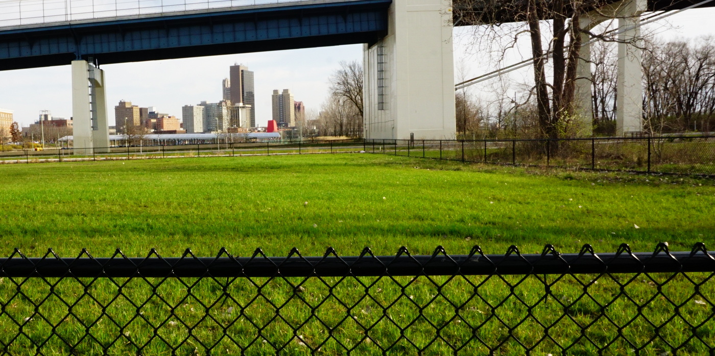 Off-leash Dog Area