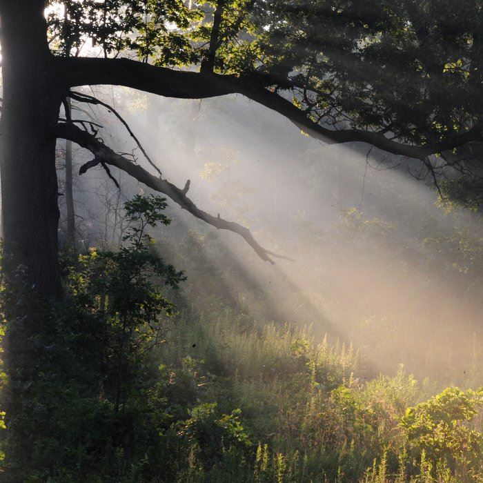 savanna-dawn-at-oak-openings-preserve-by-art-weberjpg
