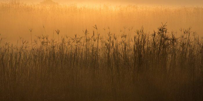 blue-creek-tallgrass-prairie-sunrise-117jpg
