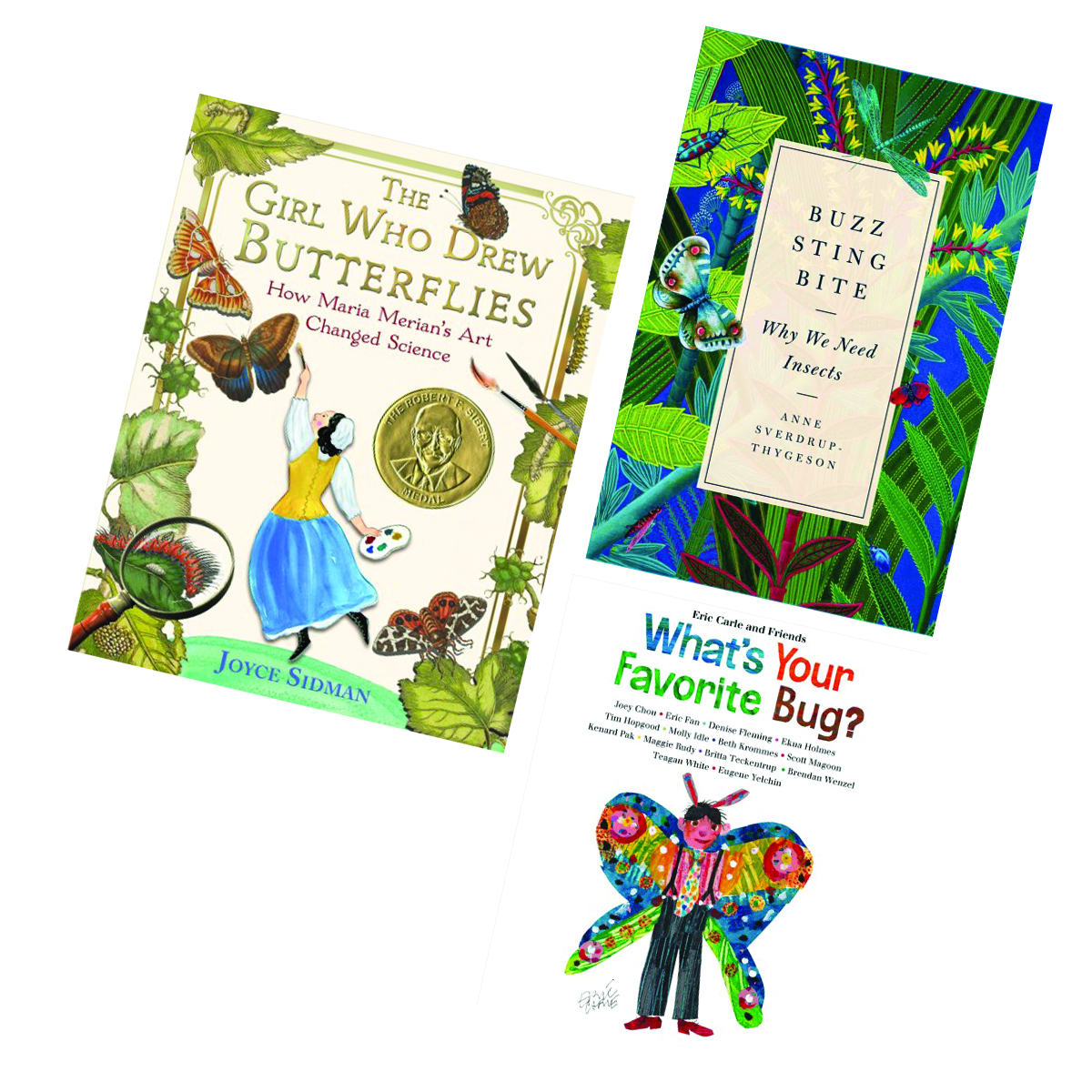 The Girl Who Drew Butterflies: How Maria Merian's Art Changed Science by  Joyce Sidman, Paperback