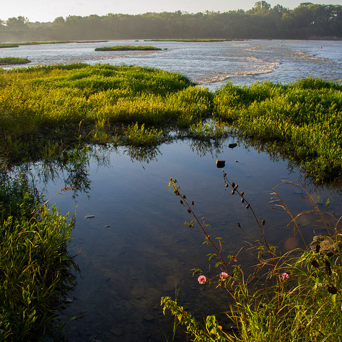 water-quality-2.jpg