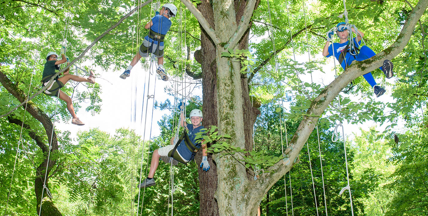 Tree Climbing Camp 1400x700.jpg