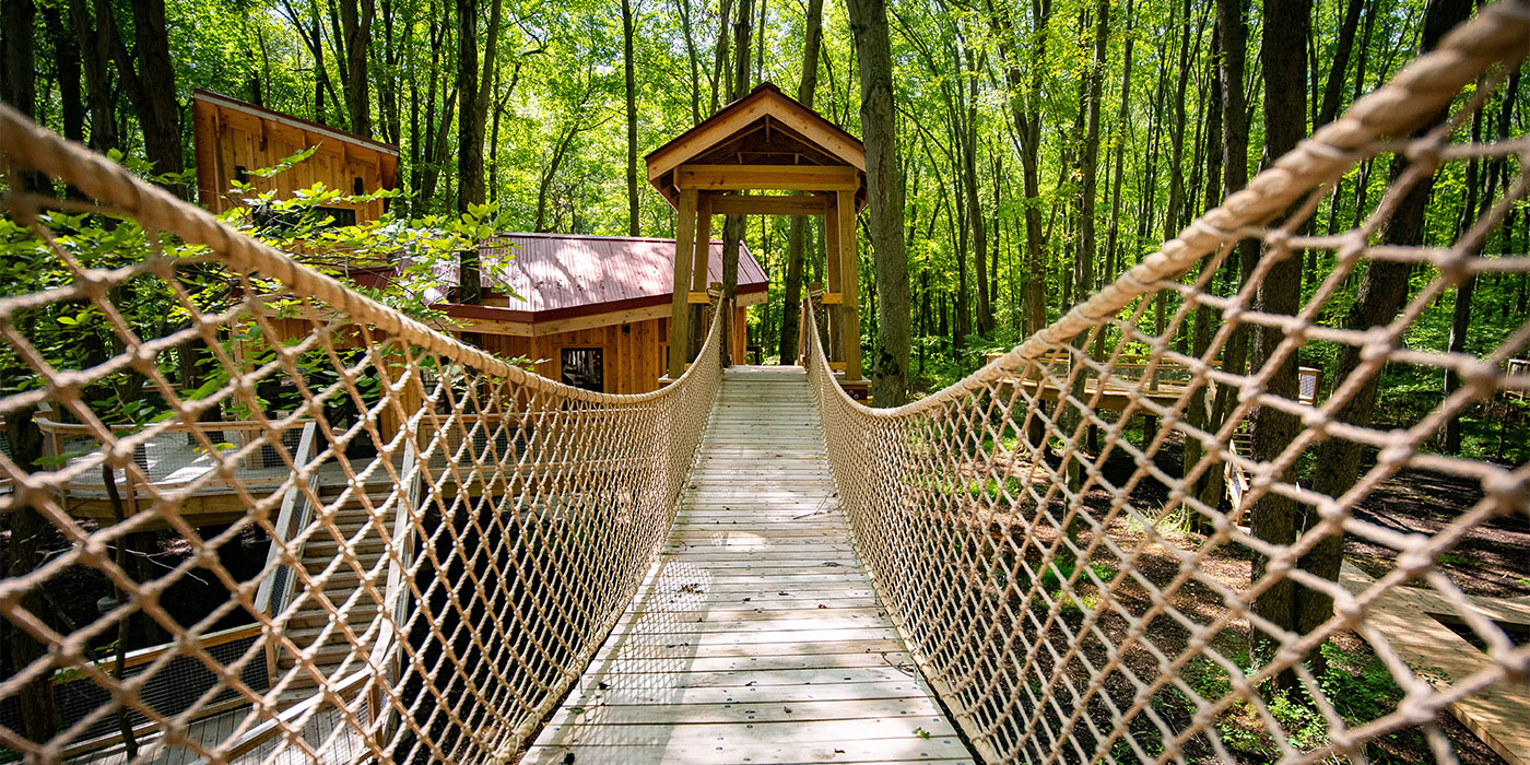 2020-Treehouses-14.jpg