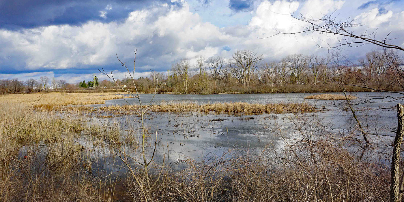 Manhattan Marsh Preserve Metropark (coming soon) | Metroparks Toledo