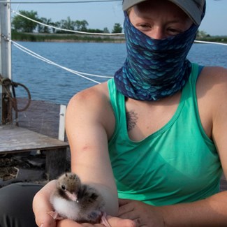 tern-banding-hm-wpmc-research-tech-jessica-schmit-holds-young-tern-chick-7-9-2020-059jpg