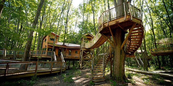 mp_treehouseimages_july2020_webres-149-thumbnailjpg