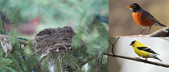 empty-nest-blog-postjpg