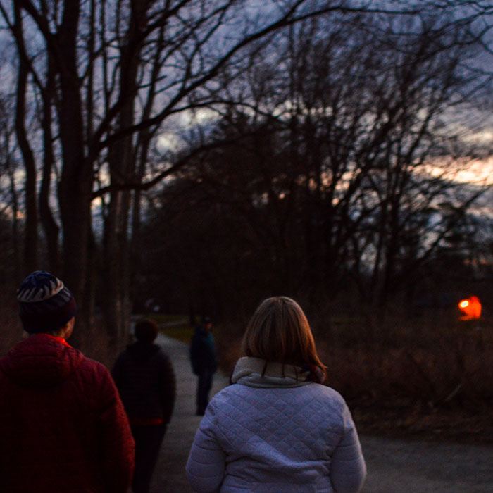 Experience Metroparks in a new light.