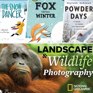 Librarian Picks Focus on Winter Wildlife and Fun