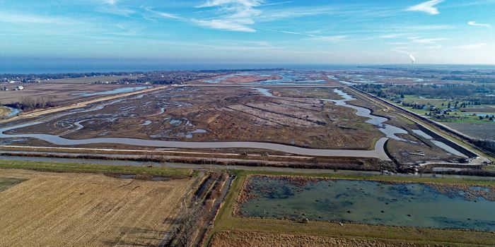 Success Stories on World Wetlands Day | Metroparks Toledo