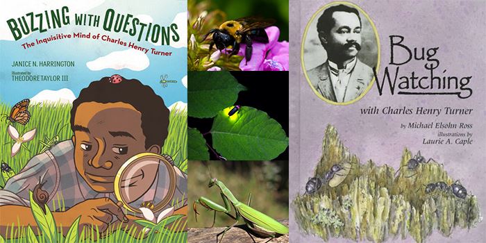 black-entomologist-blog-post-graphic-700x350jpg