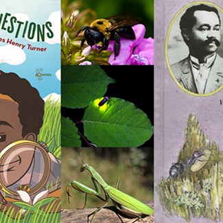 Black History Month: Honoring Black Entomologists