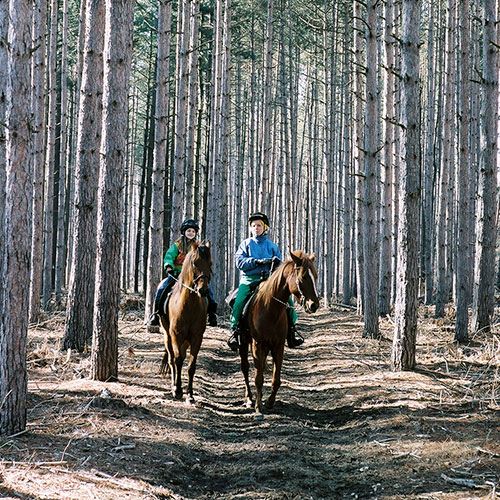 oak-openings-horse-trails-500x500.jpg