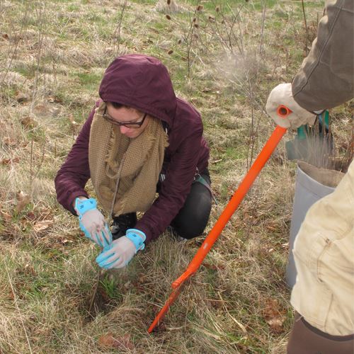 ravinepark_open-house-tree-planting-500x500jpg