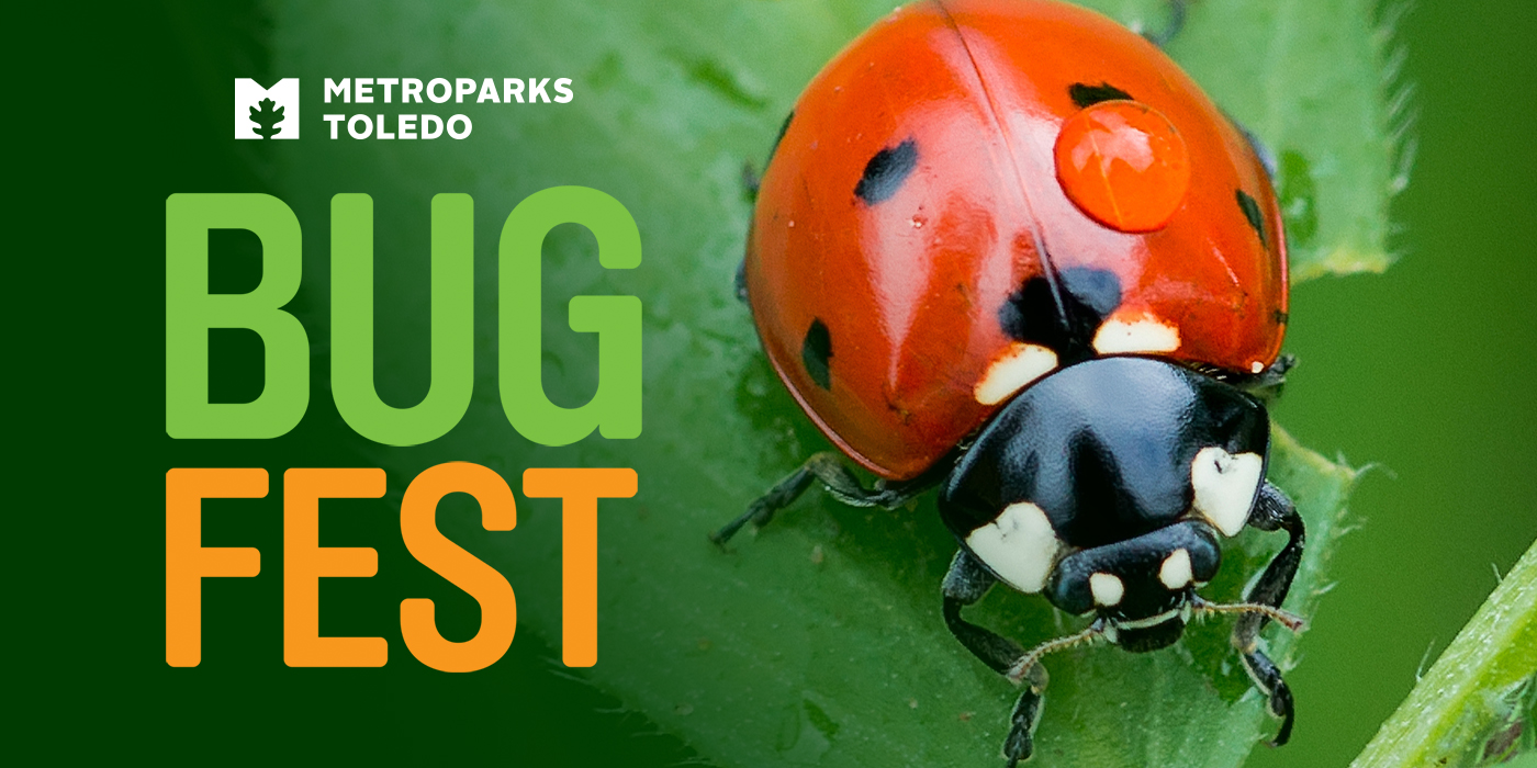 Come celebrate bugs on Saturday, August 27, 10 a.m. to 2 p.m. at Secor Metropark.