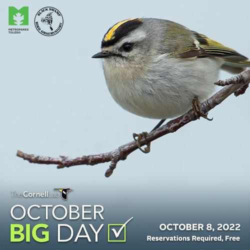 October Big Day Metroparks Toledo