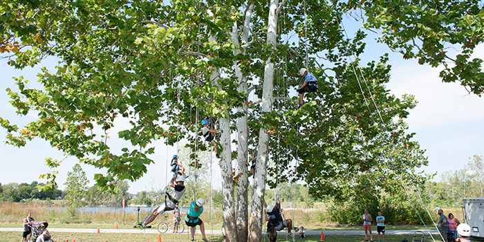 Tree Climbing 3 700x350.jpg