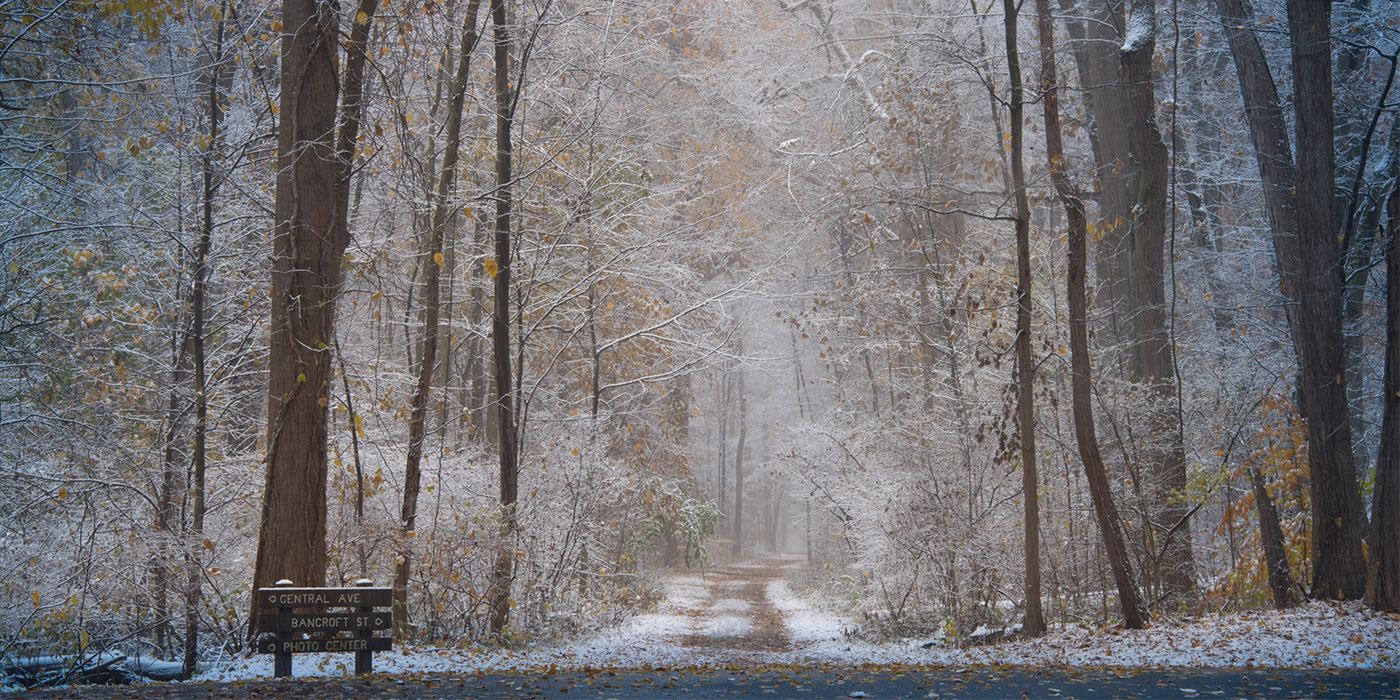 FirstSnow-Old Rich Rd - Secor-040.jpg