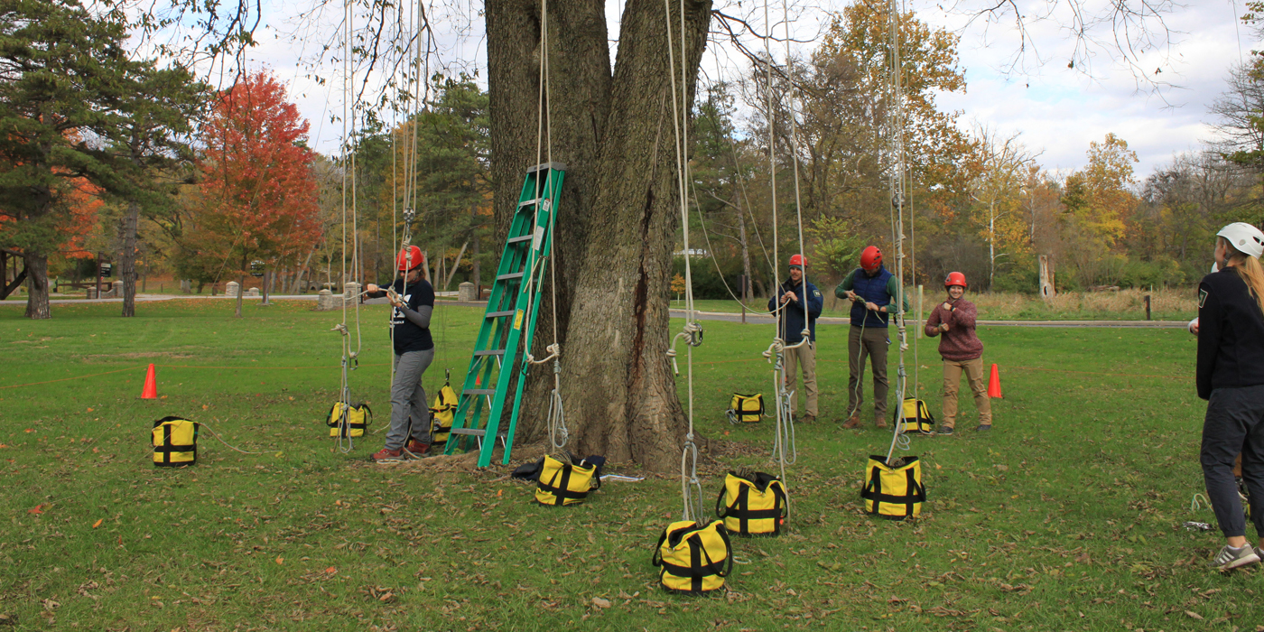 Tree Climbing Equipment