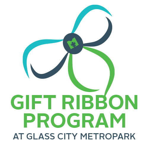 Gift Ribbon Program 500x500.jpg