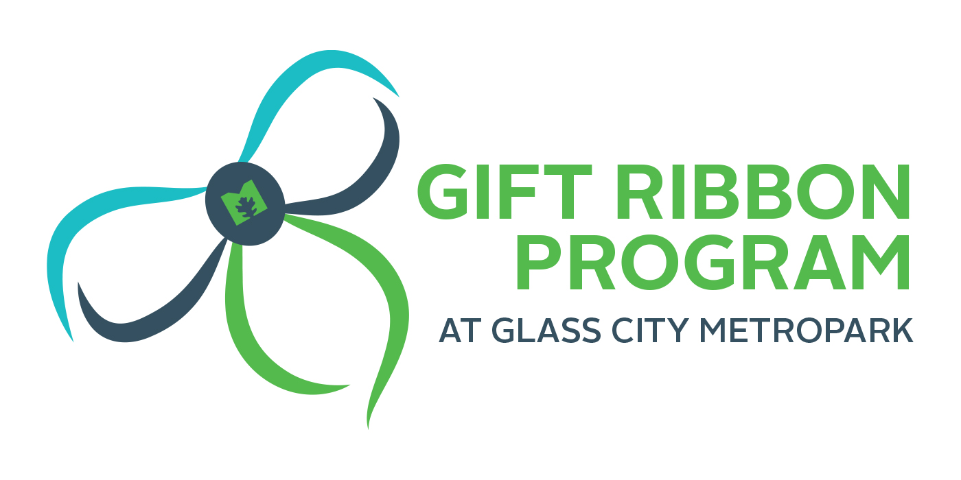 Gift Ribbon Program