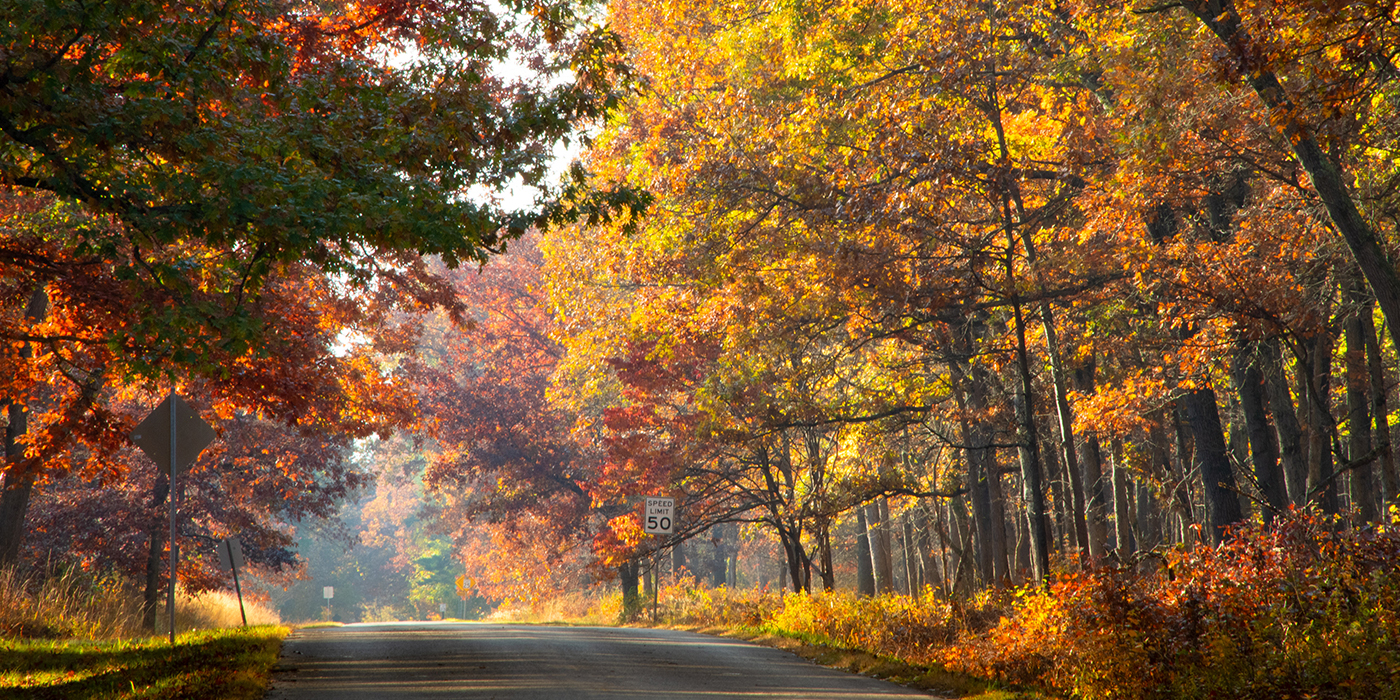 Oak Openings Preserve Metropark